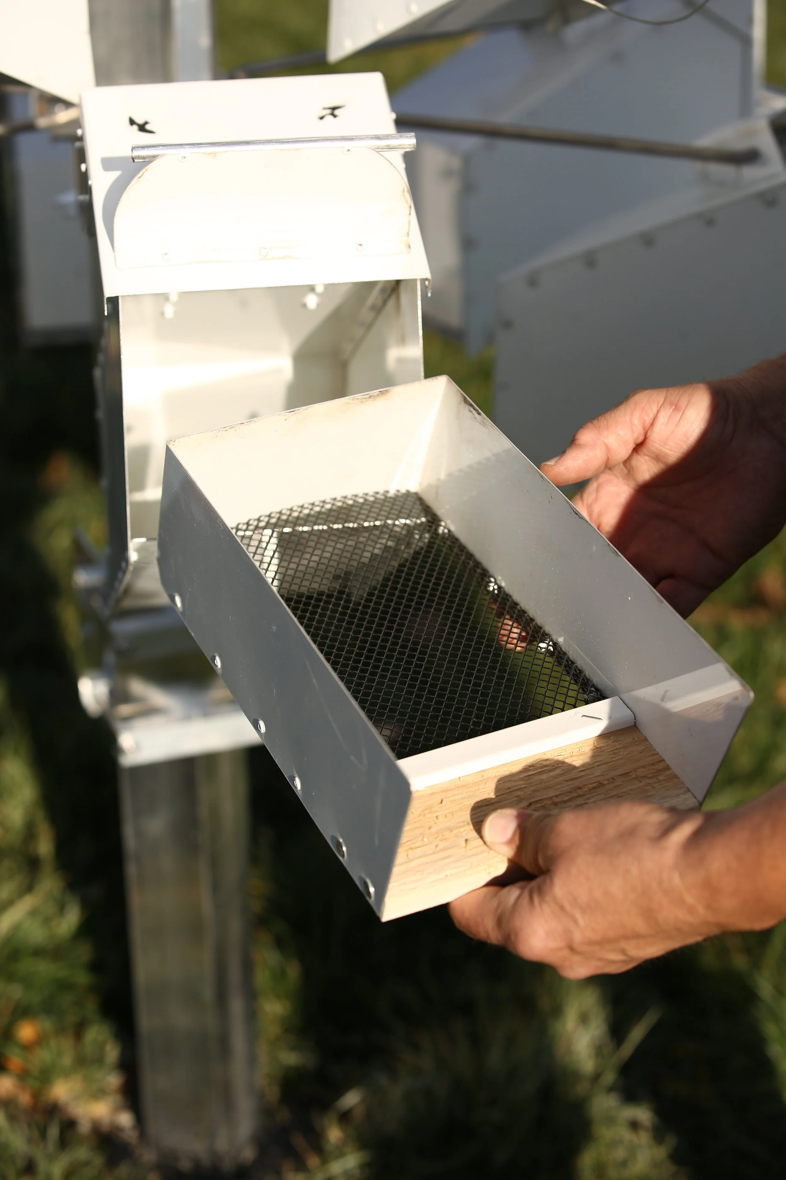  The screen bottom removable nest tray keeps the martin nest off of the floor and allows nest parasites to fall to the floor and out of the compartment through the discharge opening. &nbsp;  &nbsp;I provide a &nbsp;pre made nest of pine needles and l