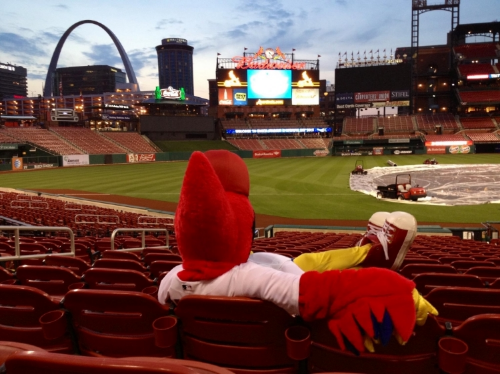 The only person who likes a rain delay is Fredbird. 