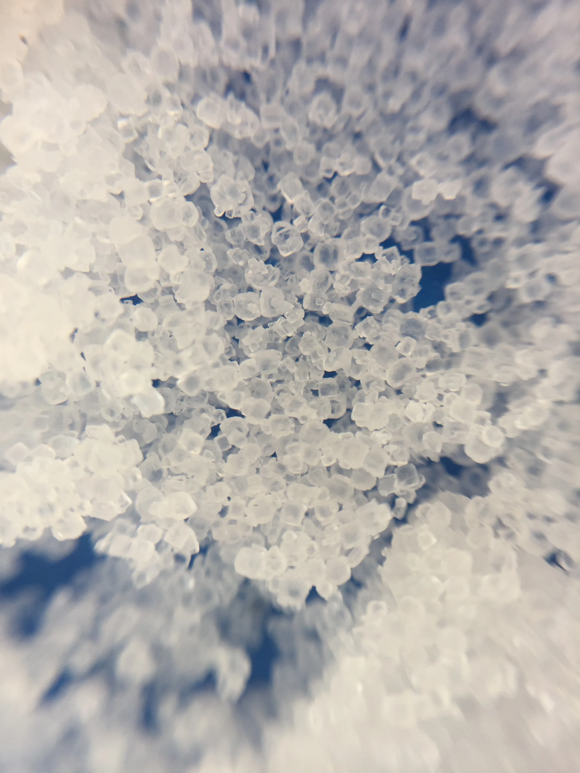 Pool Salt