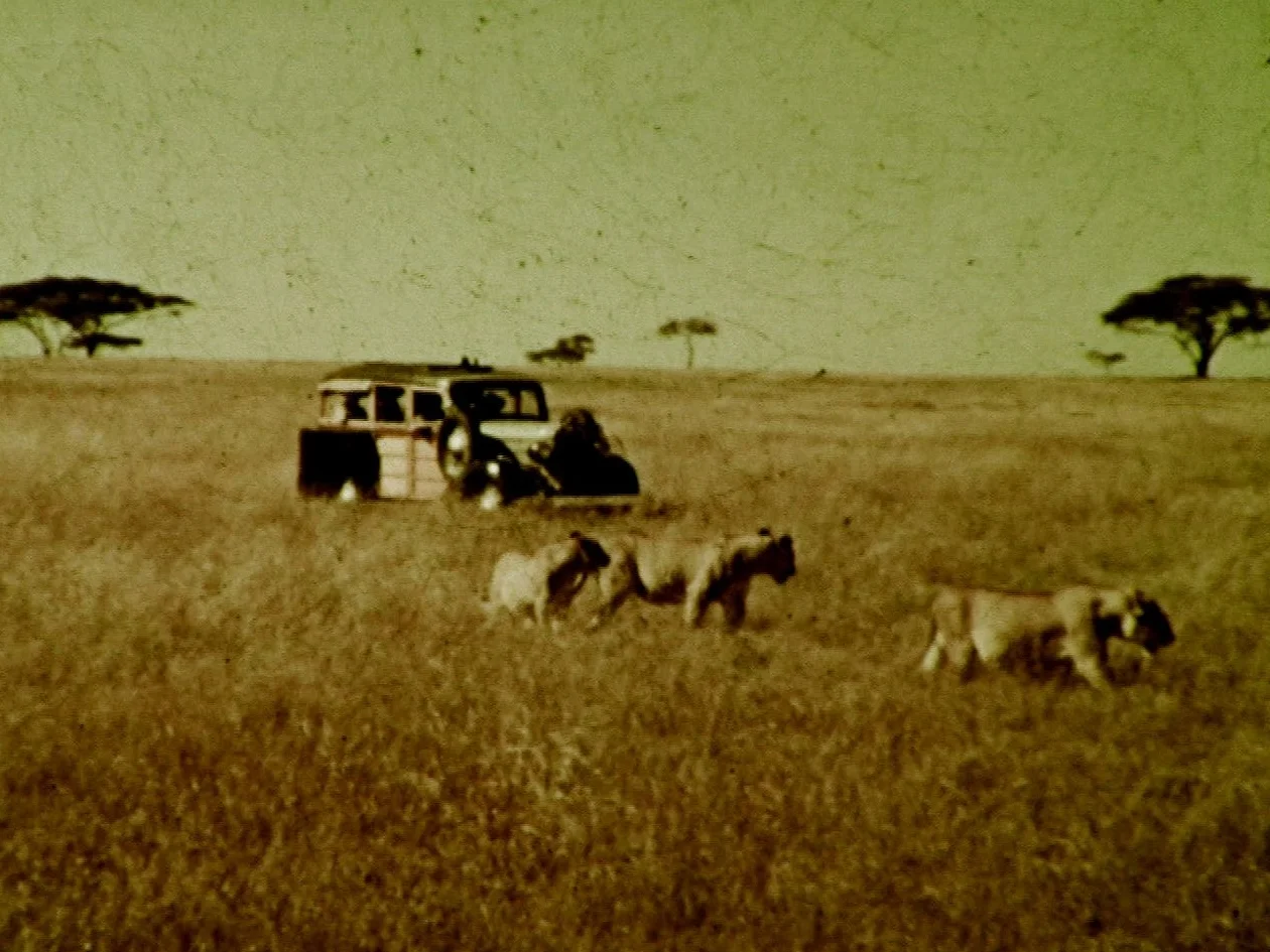 Africa Part 3 012548;20.jpg