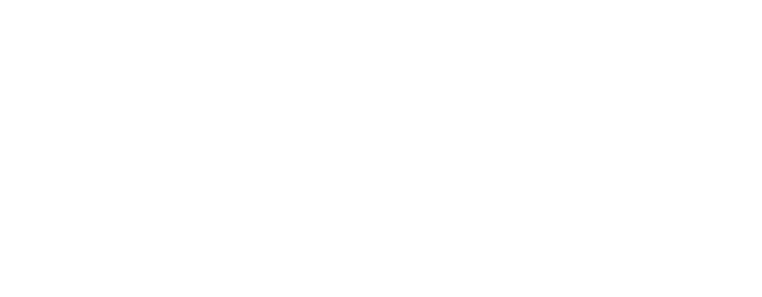 The Brooklyn Press