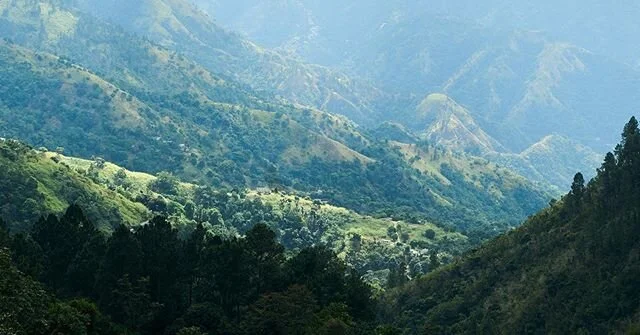 For all us non-essential workers out there who are staying in to help contain this thing, can we all post some images of the great outdoors so we can all remember what it looks like ? Inspired by @donalddelahaye 
#outdoors #stayinginside #tanningamiy