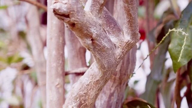 92 years ago the mother of my mother was born. 
In her life time she&rsquo;s seen the change of our country change from colonial rule to independence. She was around for the fall of the Berlin Wall , the break up of the Soviet Union and more importan