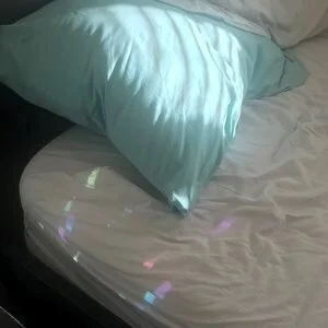 The leaves don’t change here (Copy)