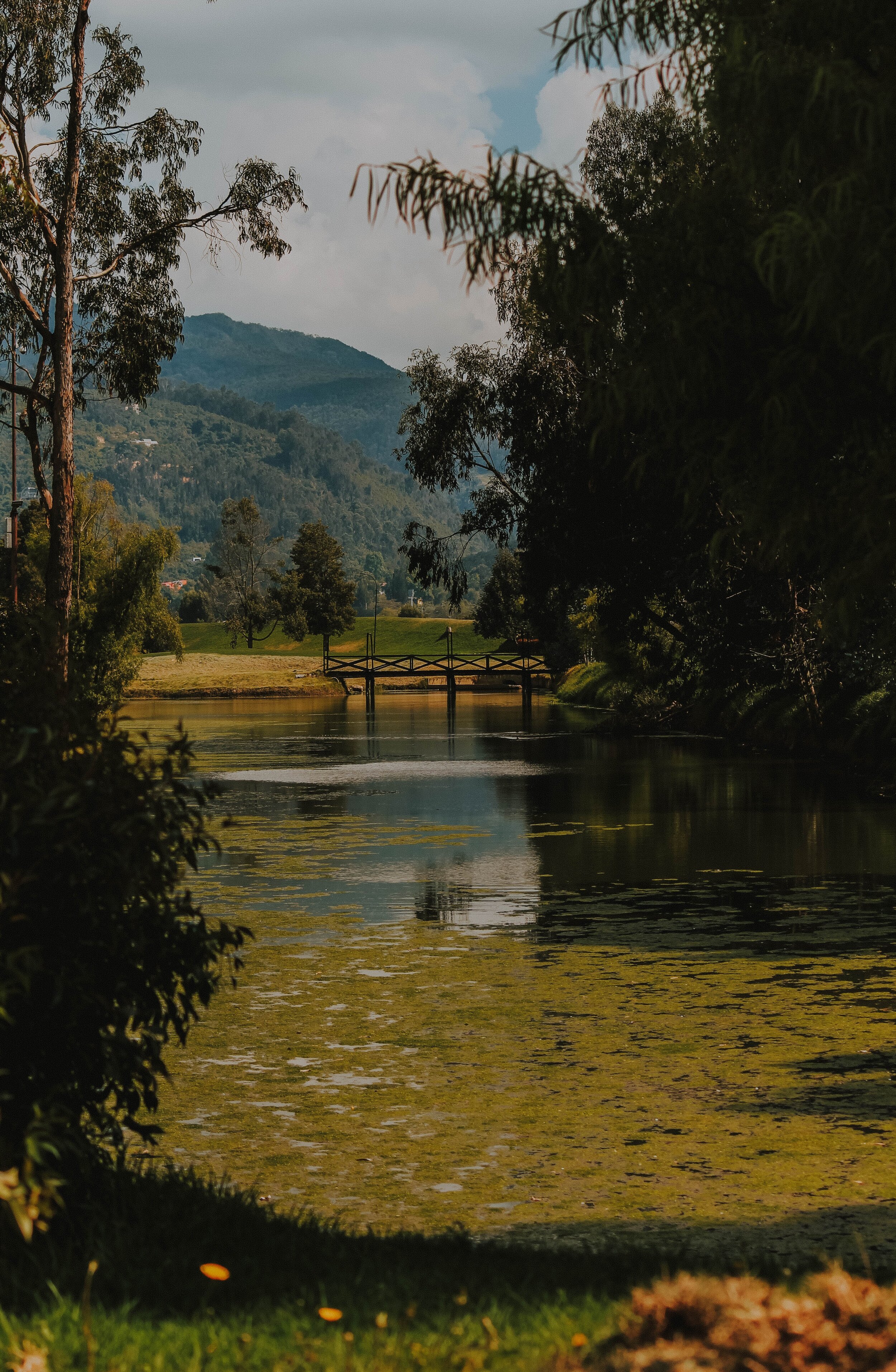 " 'Pond Scum' or No? Reassessing Henry David Thoreau"