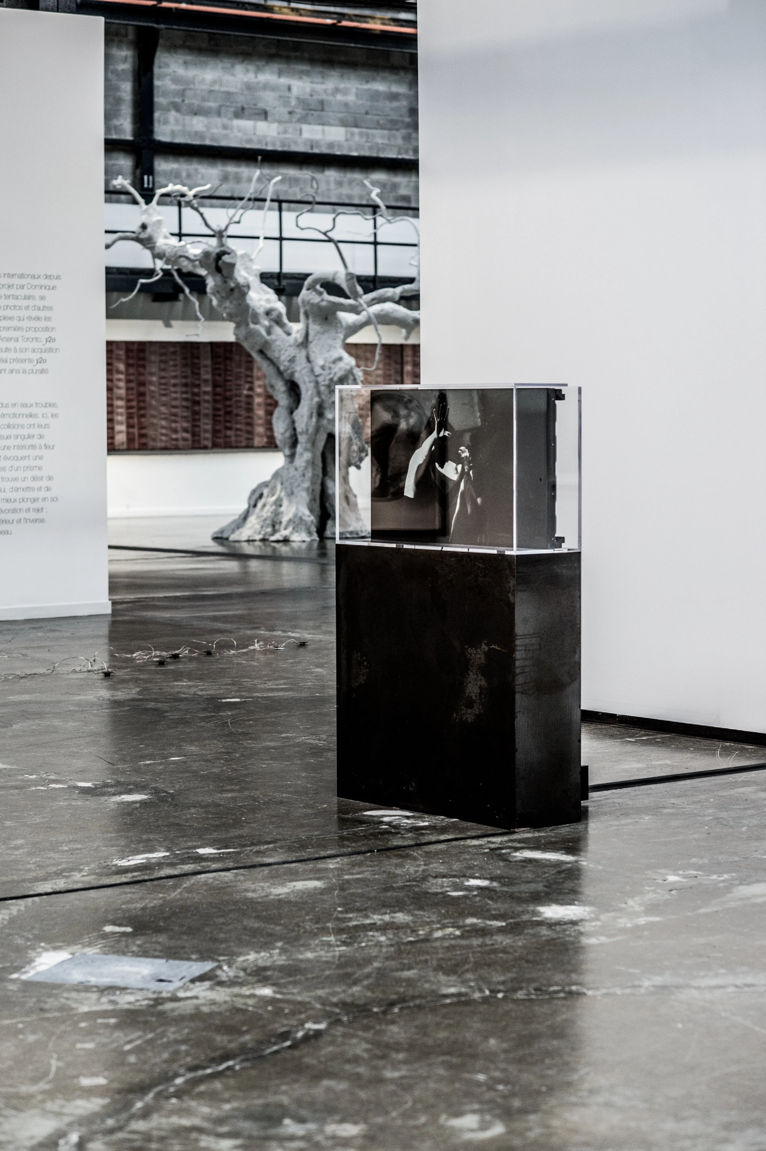 y2o huis clos, 2015 Installation vidéo avec acier, acrylique, ordinateur et moniteur 162.5 x 106.7 x 32.4 cm (64” x 42 ½” x 12 ¾”) 2h 53 min 18 sec. Edition 1/2 Collection Majudia © dominique t skoltz
