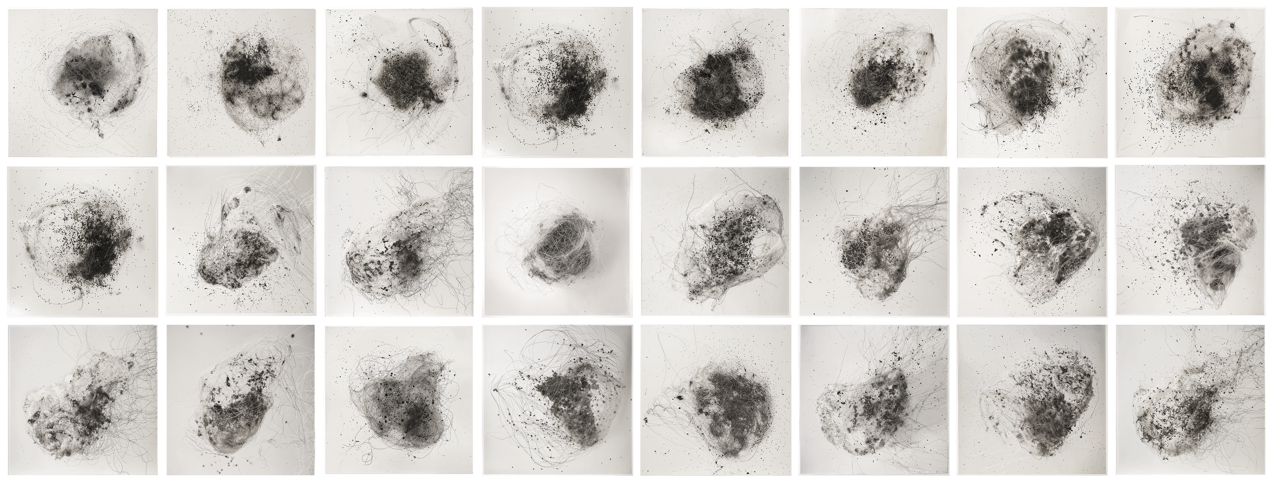 SKOLTZ_MOMENTA_BIENNALE_2025 FINAL copie.png