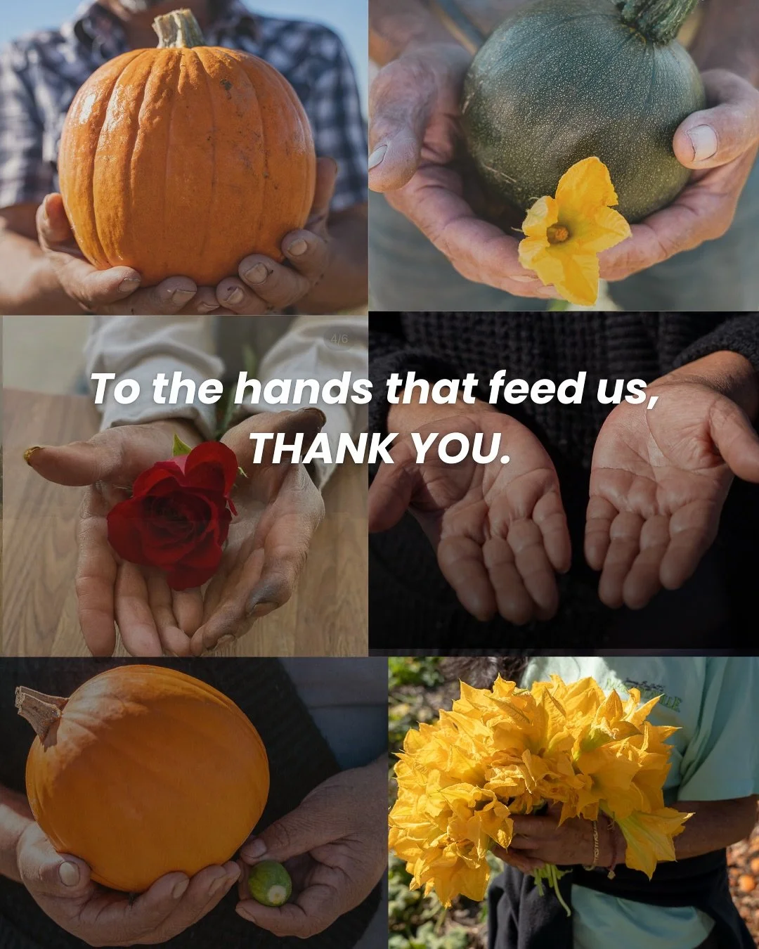 Today and always, we honor Farmworkers, the hands that sustain our food system and nourish this country. We see you. We stand with you. Our team took a moment to share what isn&rsquo;t said enough, thank you for everything you carry, every single day