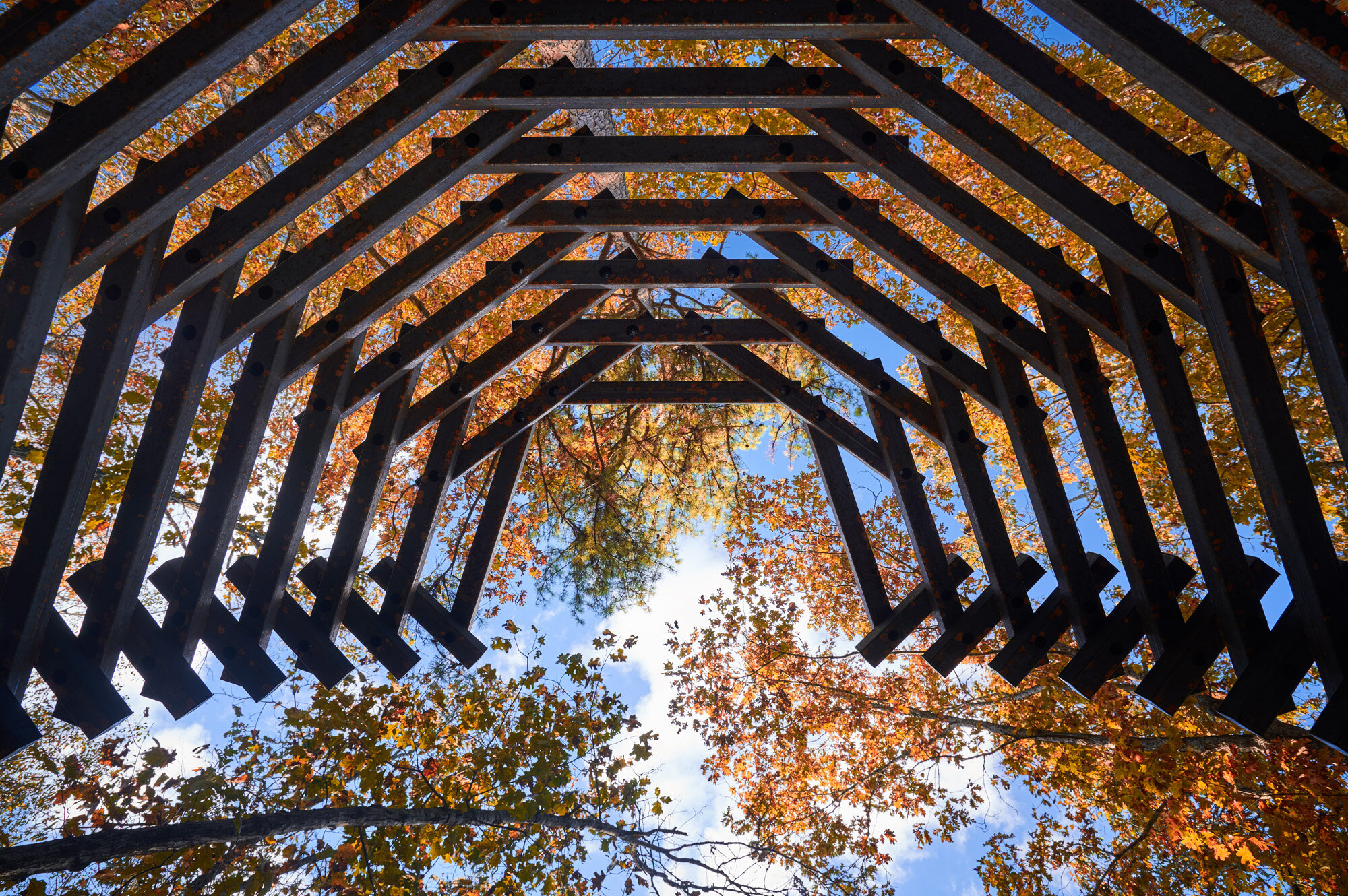 Hobbs-Trail-Fall_2020-WEB-007.jpg