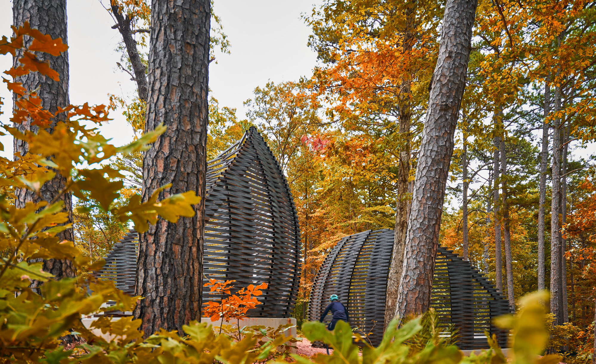 Hobbs-Trail-Fall_2020-WEB-024.jpg