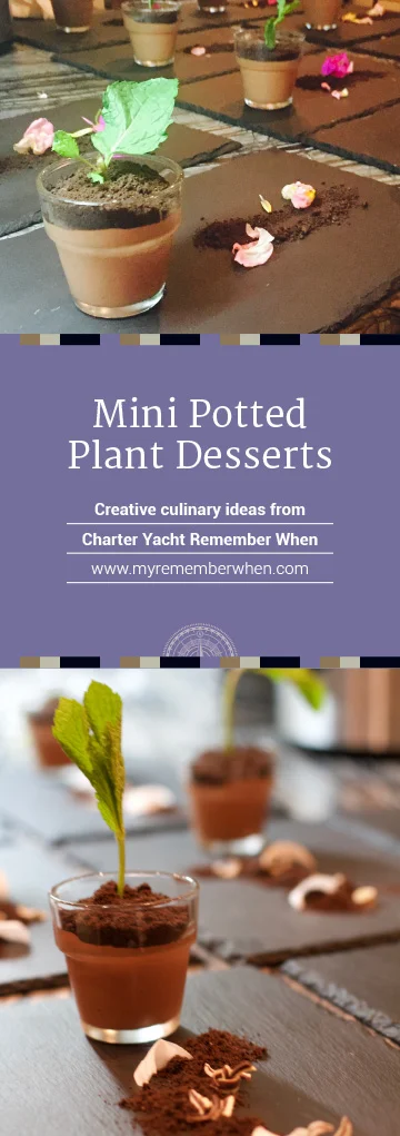 Remember When's Mini Potted Plant Desserts are not only attractive to the eye—they are much more than pretty to look at—Chef Daniela’s chocolate mousse will indulge even the most discerning chocolate connoisseurs!