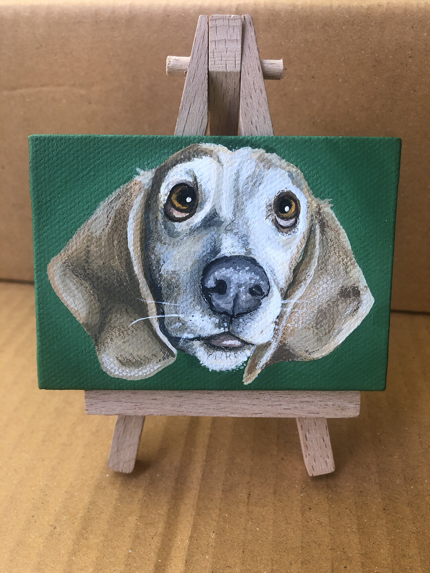 Beau