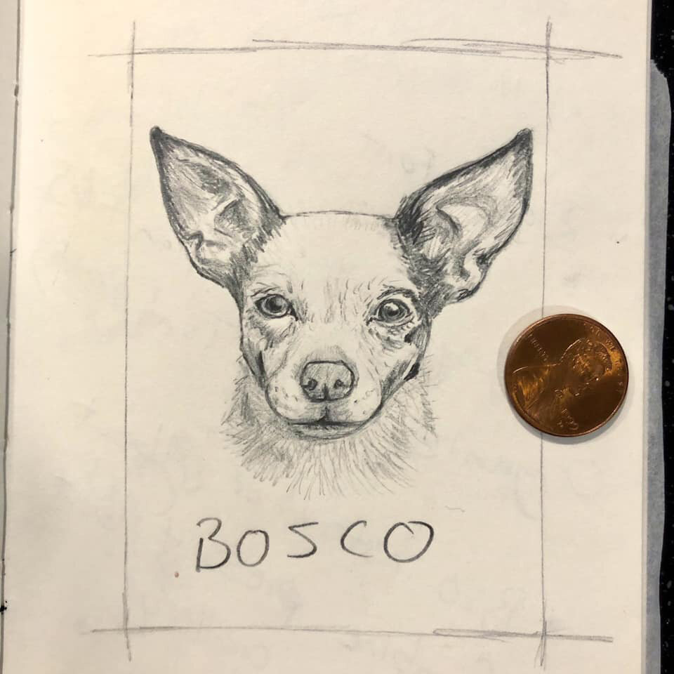 Bosco Sketch