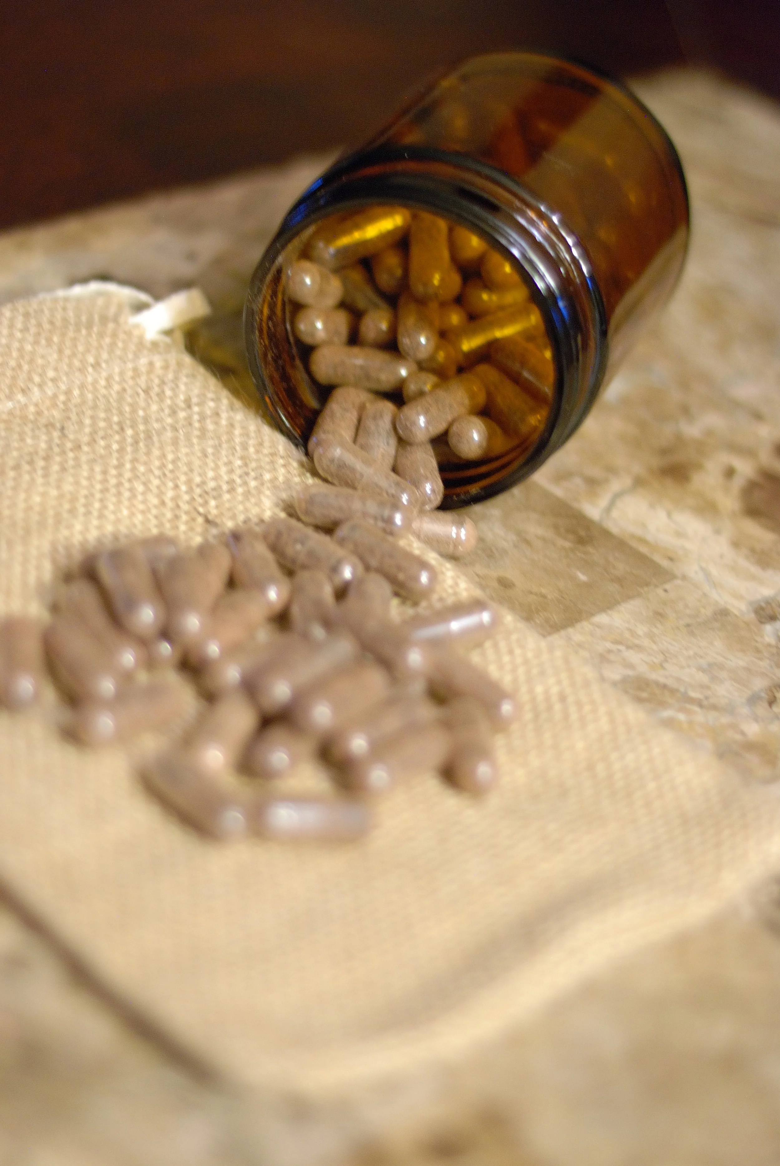 No One in Their Right Mind Would Eat Their Placenta