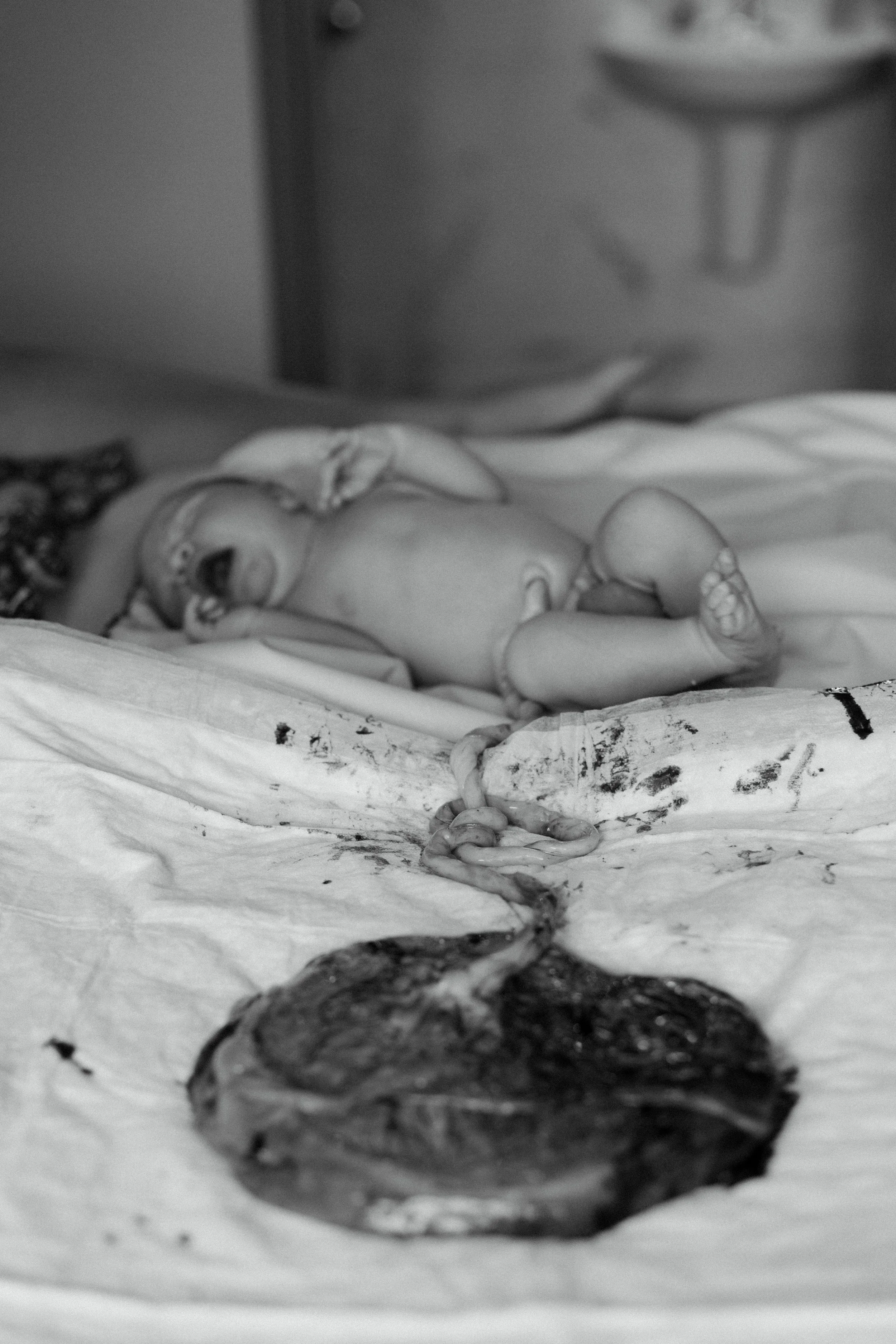 Photo Provided By: Tessa Shaeffer Photography