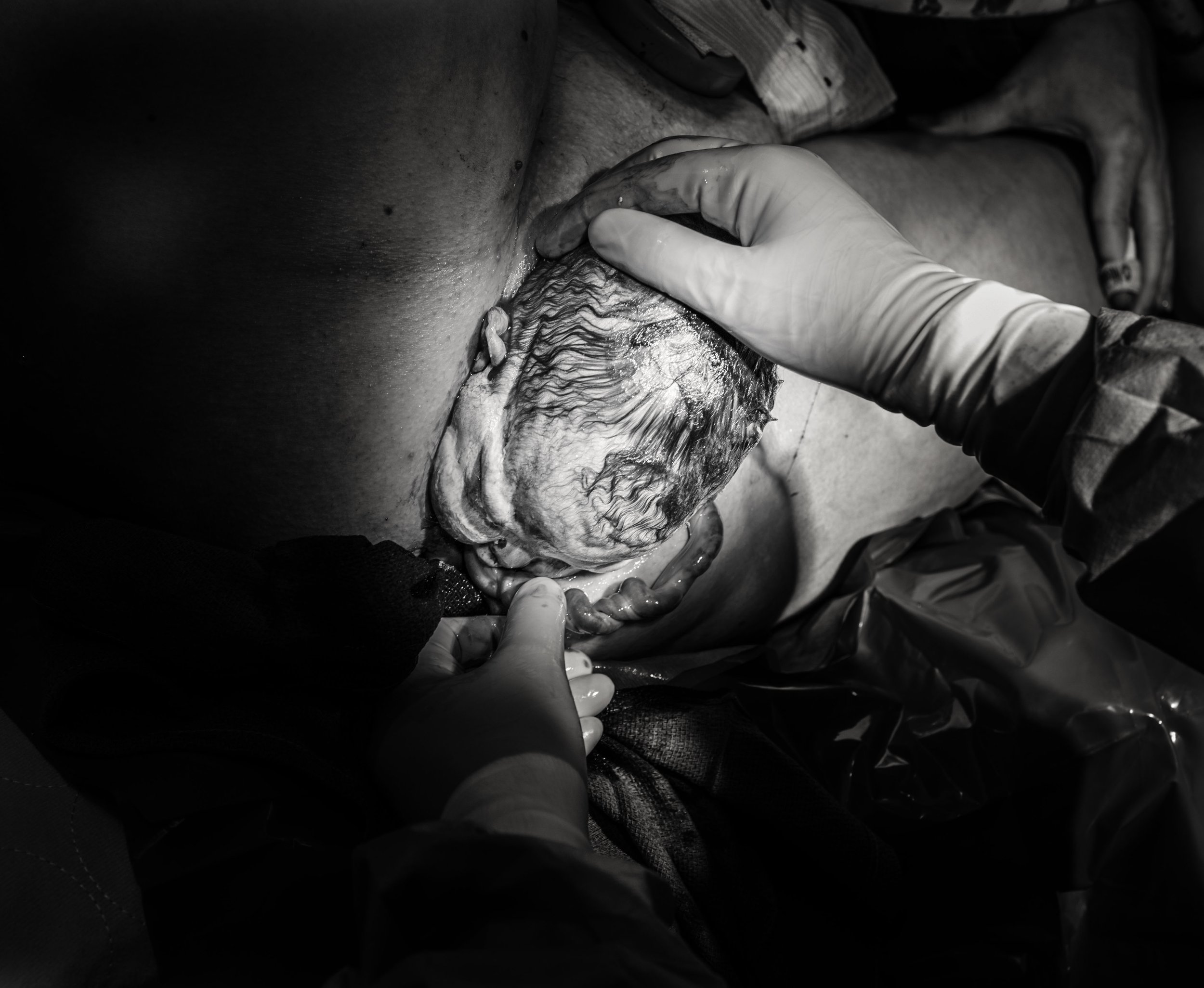 IMG_7328-2bw.jpg