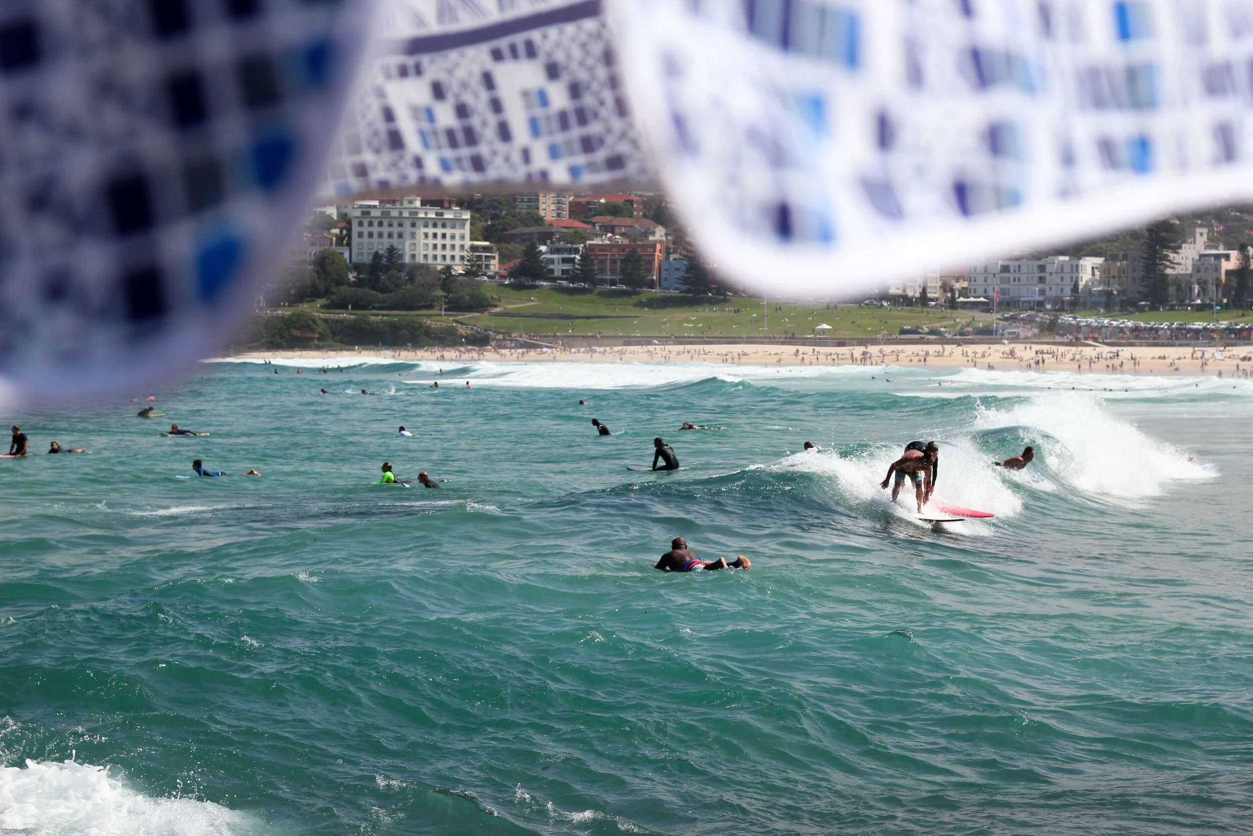 Basil Bangs 17-2.jpg