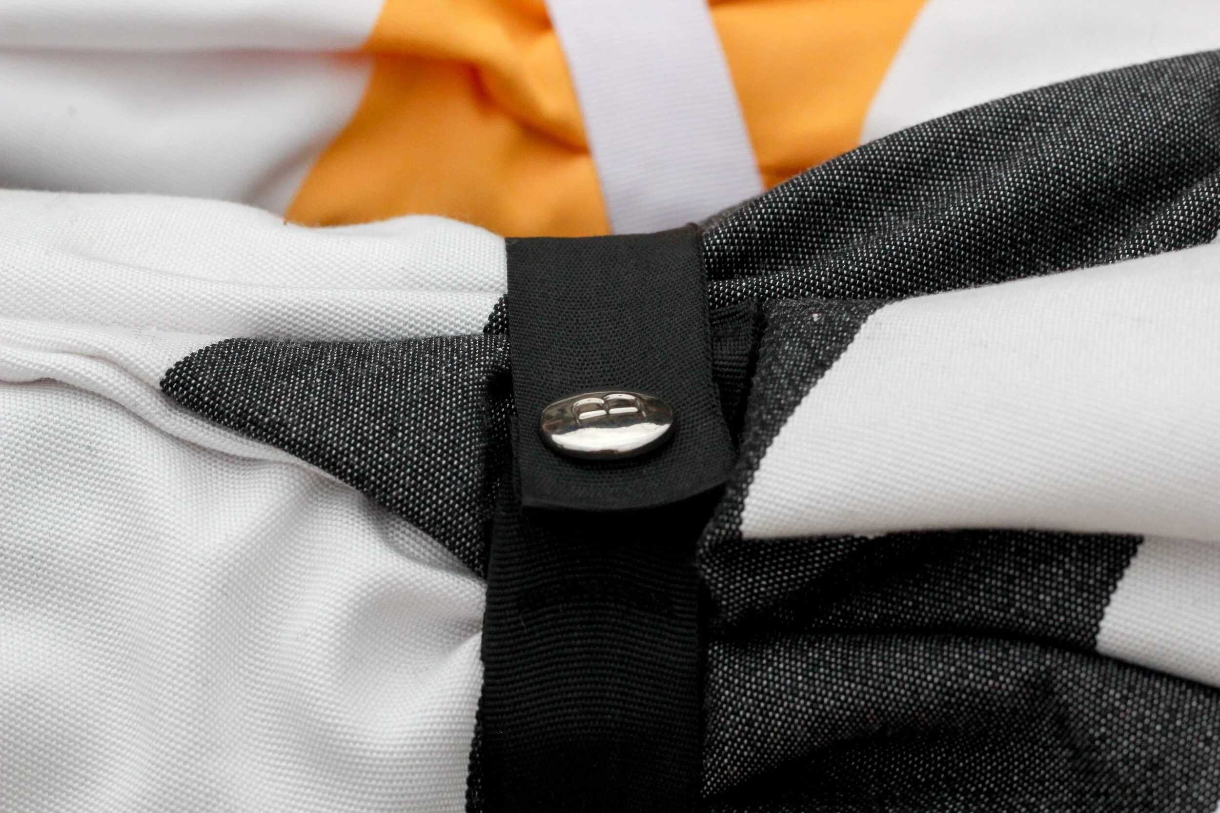 Basil Bangs 13-2.jpg