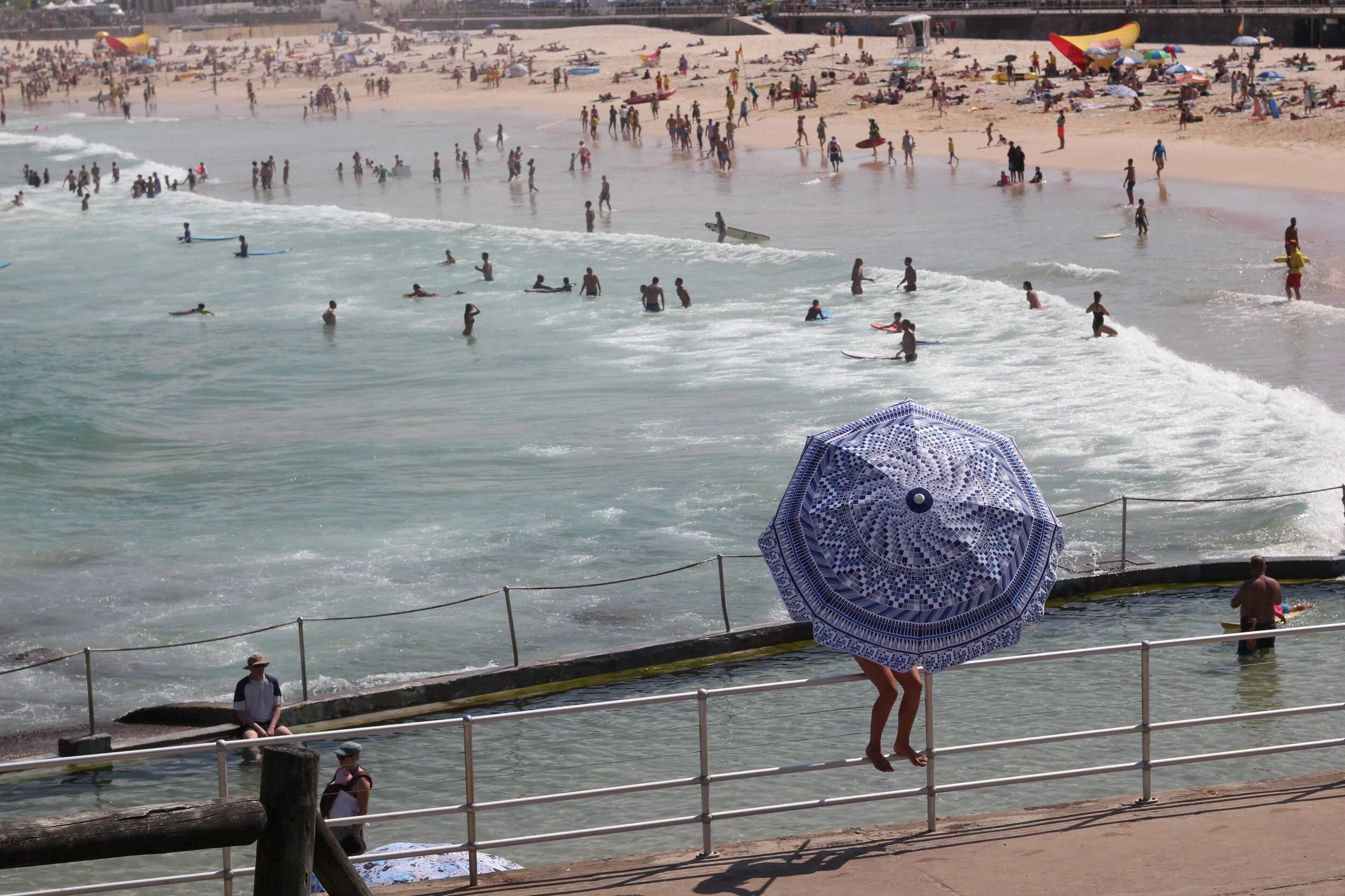 Basil Bangs 24-2.jpg