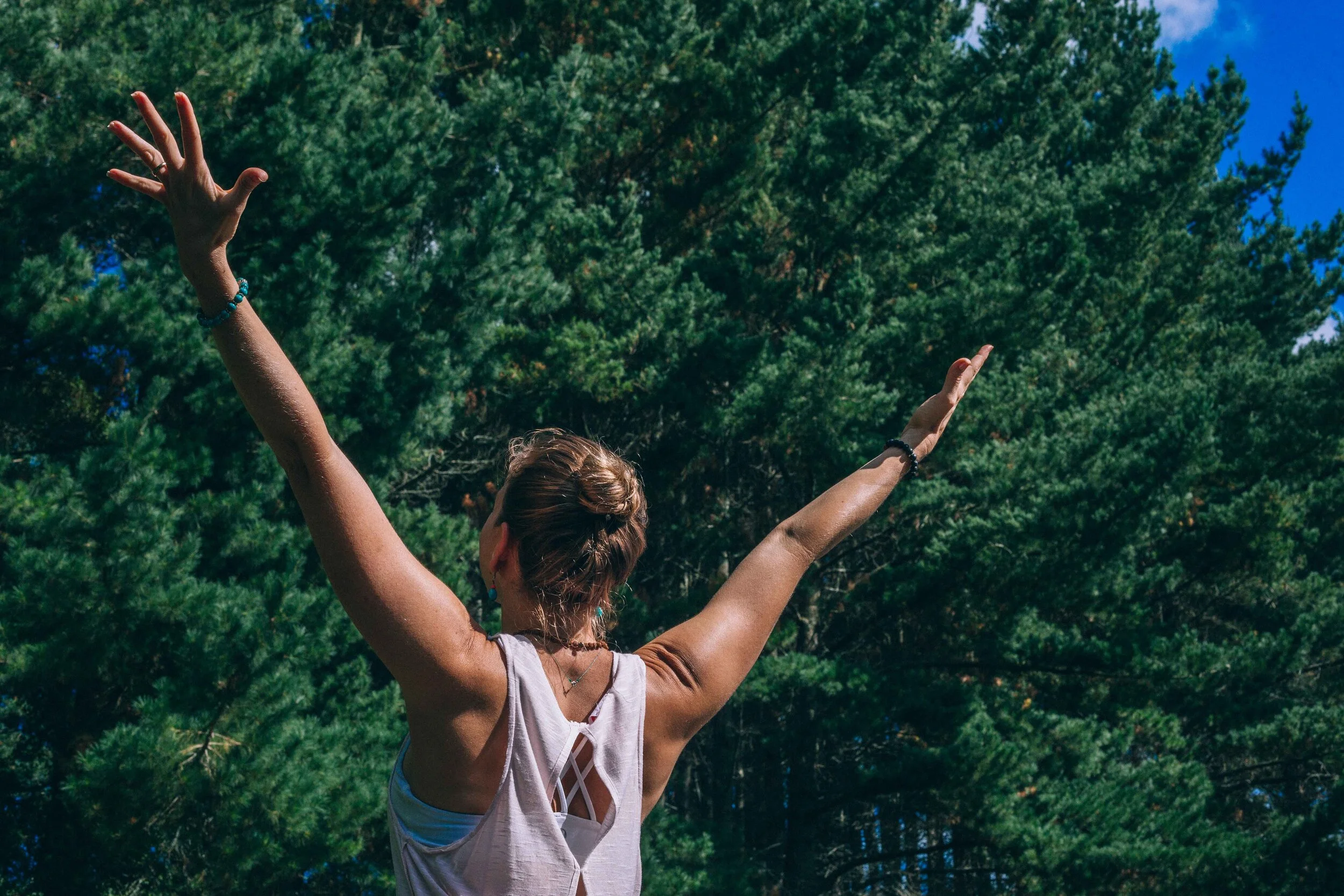 Wanderlust 155-2.jpg