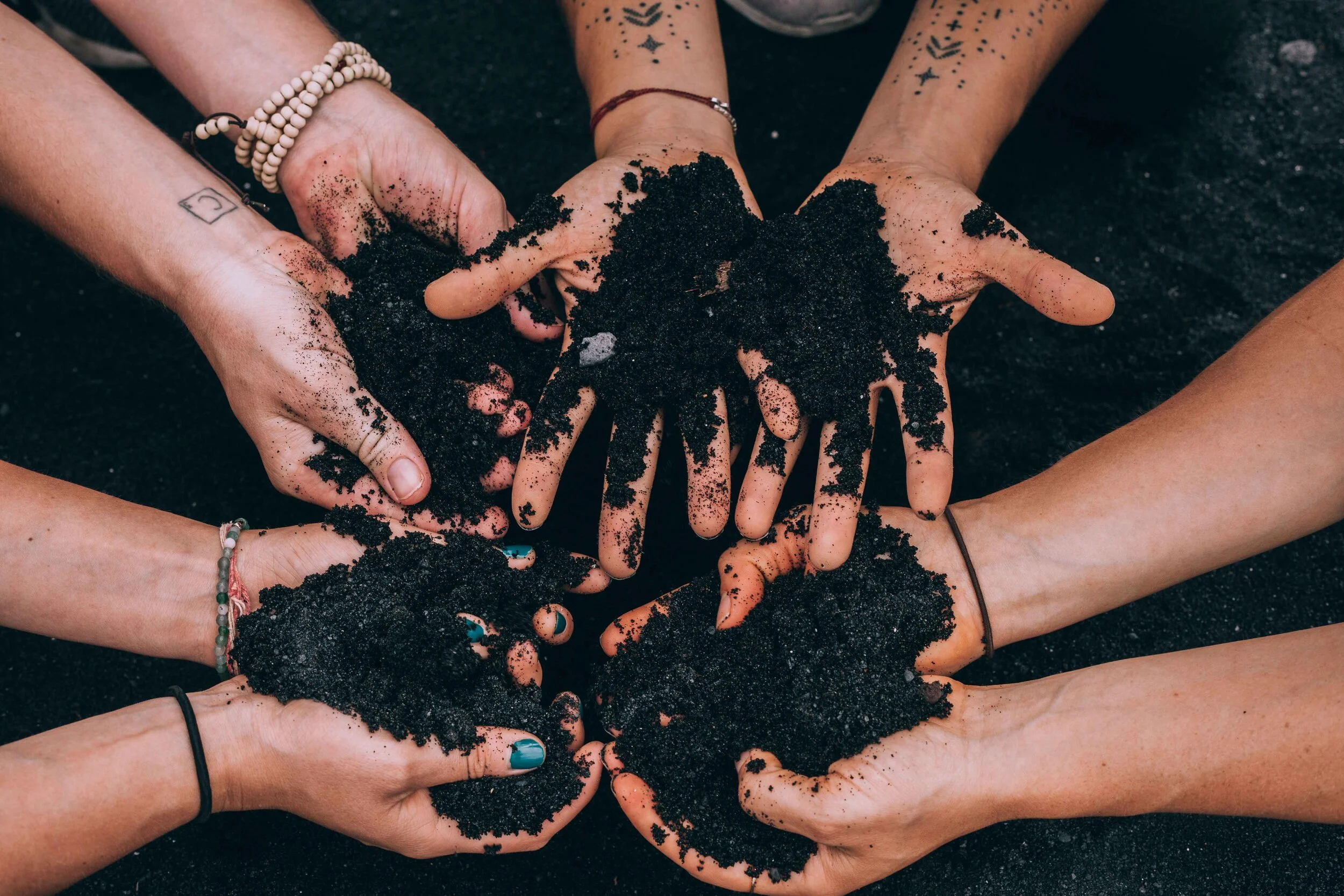 B2R Hawaii x Jake Holly -412-2.jpg