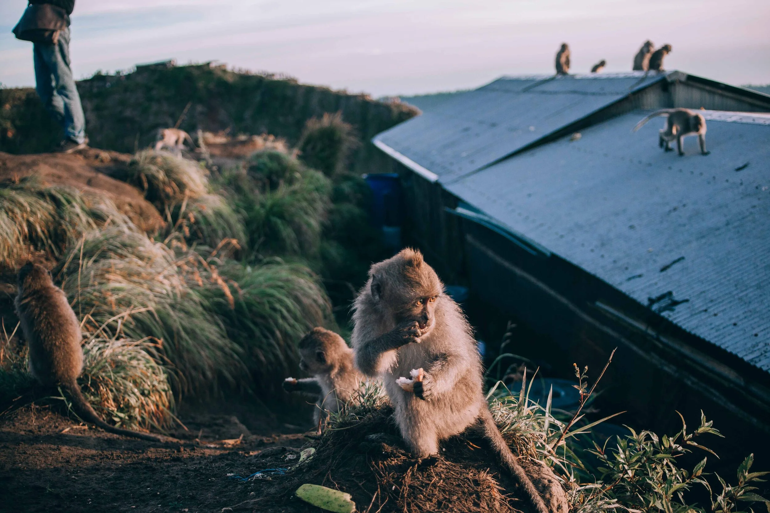 @jakeholly_ x B2R Bali-281-2.jpg