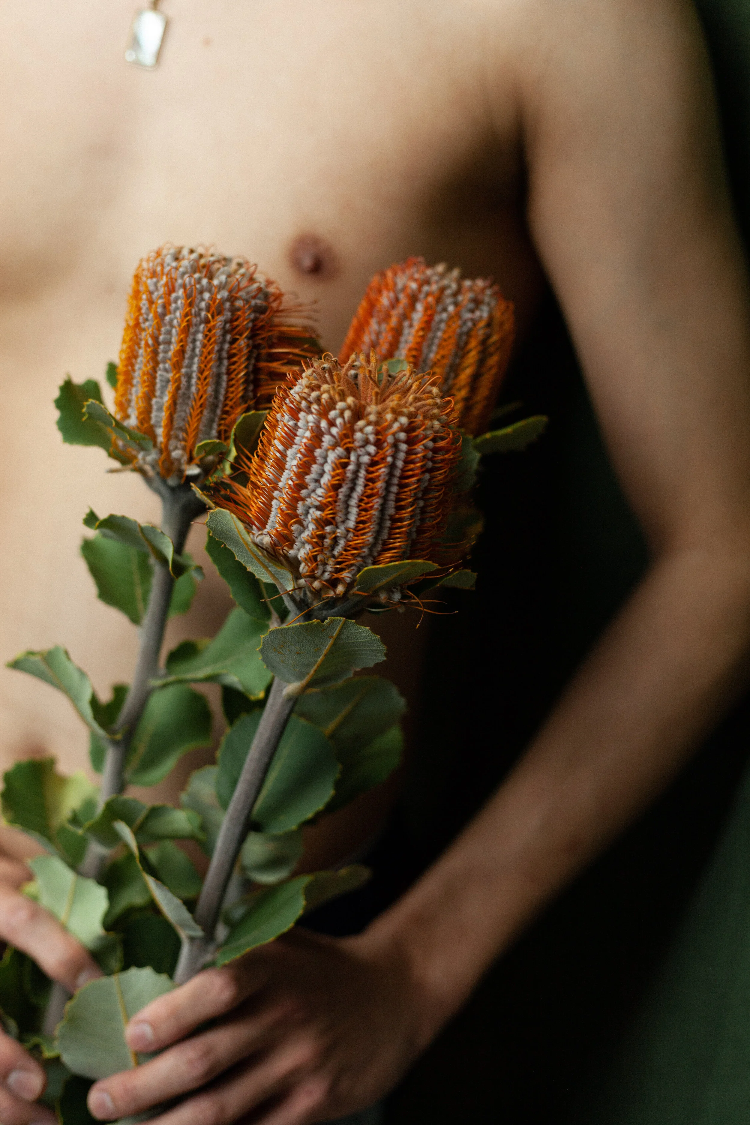 Tyler x Jake Holly -36.jpg