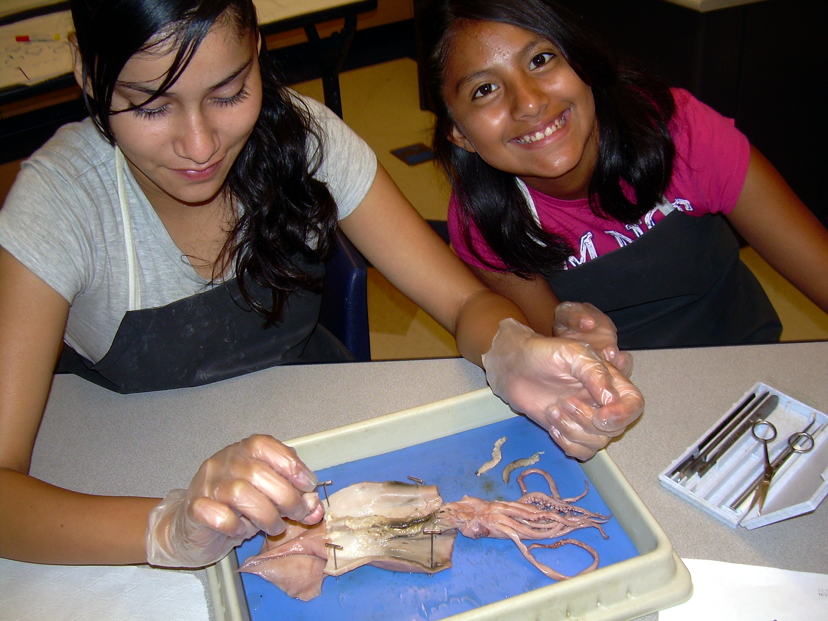 2009 Squid Dissection.png