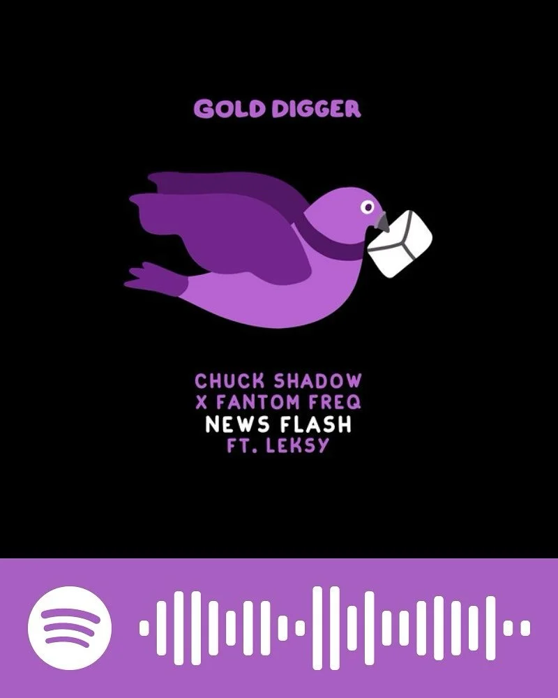 Who’s been vibing to this one? - Newsflash with @fantomfreq & @lookslikeleksy is out now on @golddiggerrecs!