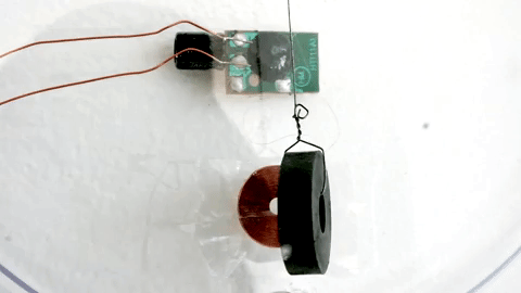 Animated GIF-source(1).gif