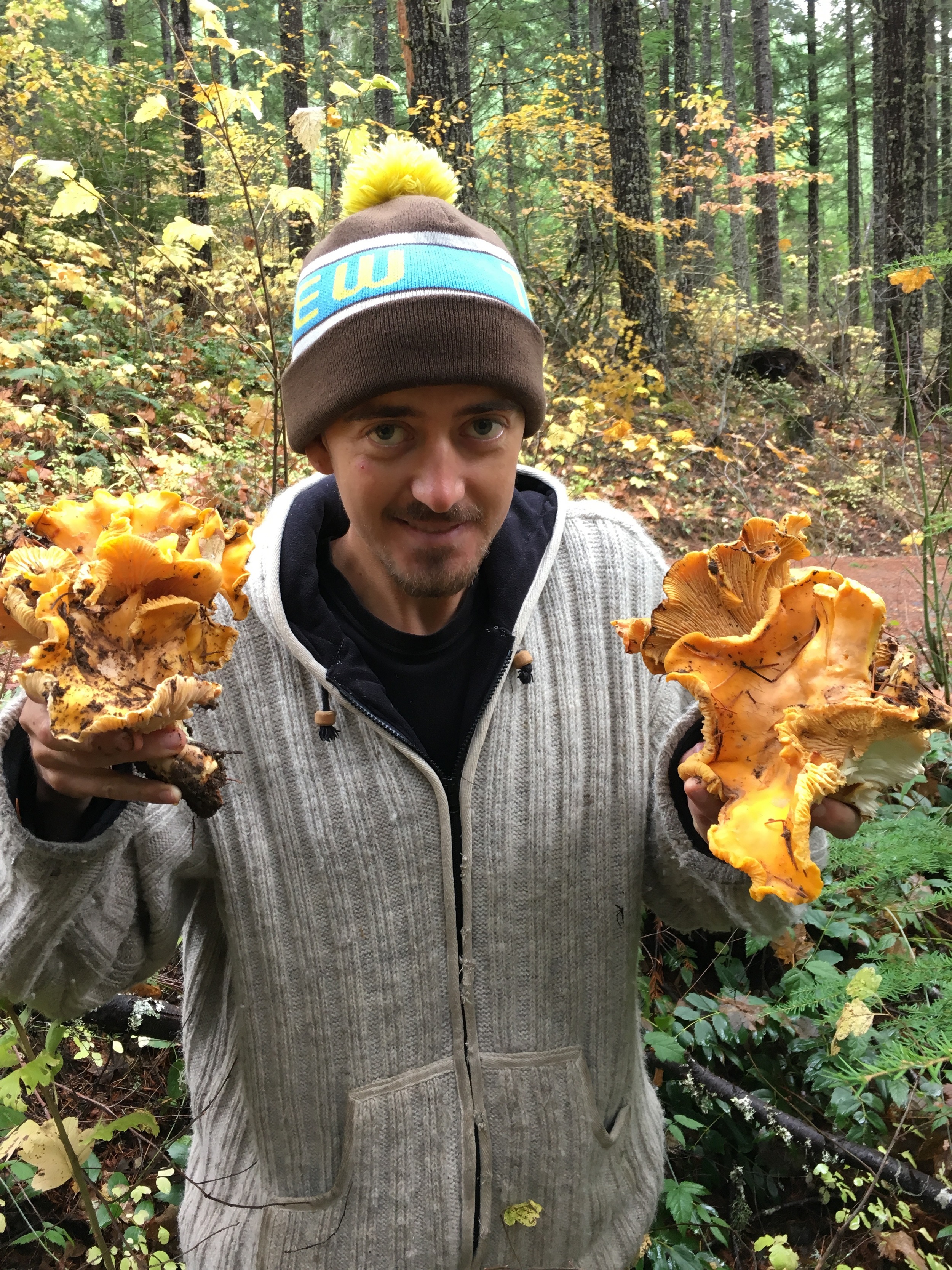 HoodRiver_Chanterelles.jpg
