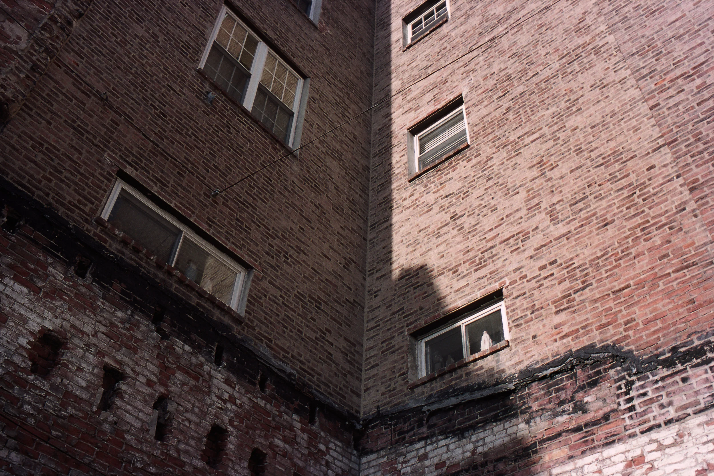 WS_edit-11.jpg