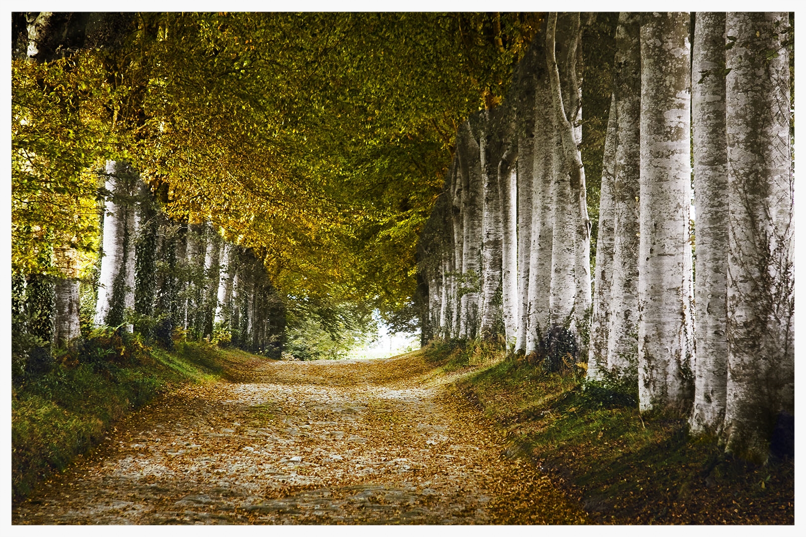 The Golden Road of Youth, Pont-Aven, France