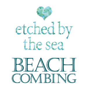 EBTS-beachcombing-logos-300.png