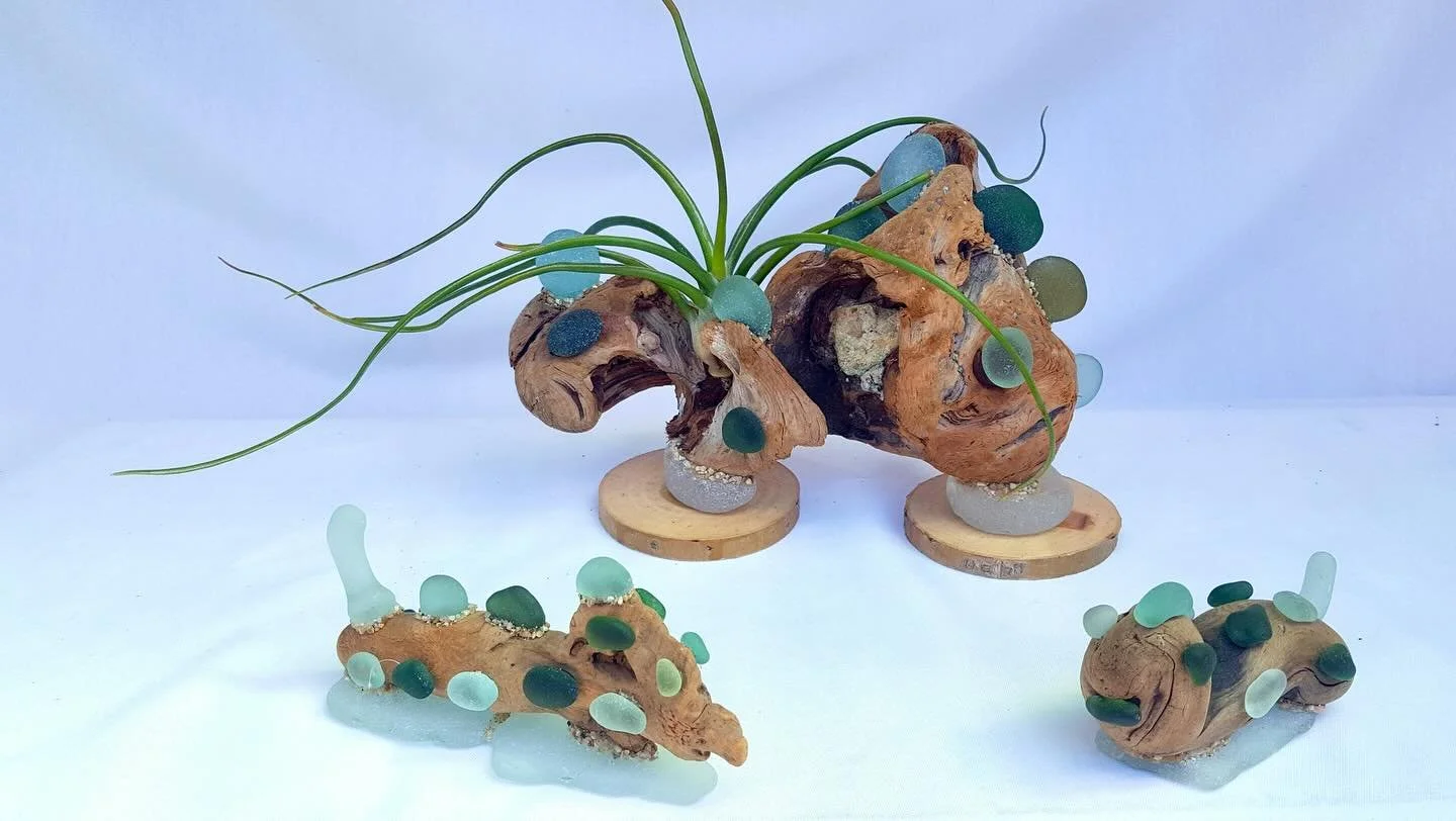 π³ With 15+ years of collecting sea glass and 35 years of driftwood hunting under her belt, Jayne Hawley of The Earthlings is releasing the secrets of nature in detailed airplant + sea glass compositions! β±οΈ
This festival favorite of over 20 years i