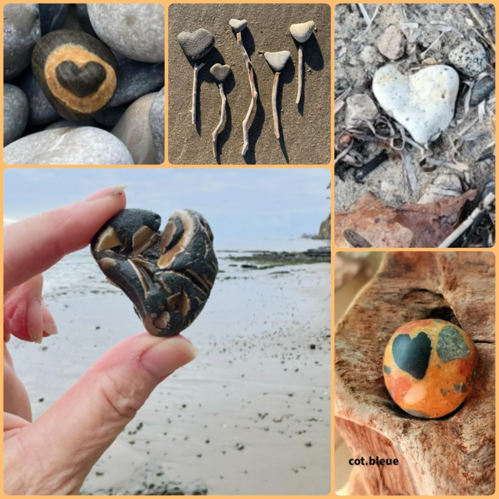 Today officially kicks off #sbsgoafmonthofhearts2026 🤎🤎🤎🤎🤎🤎

Please share your beachy hearts on your page so we can hopefully include yours in a collage as we fill our squares with hearts and spread the love throughout our world! 

Please tag u