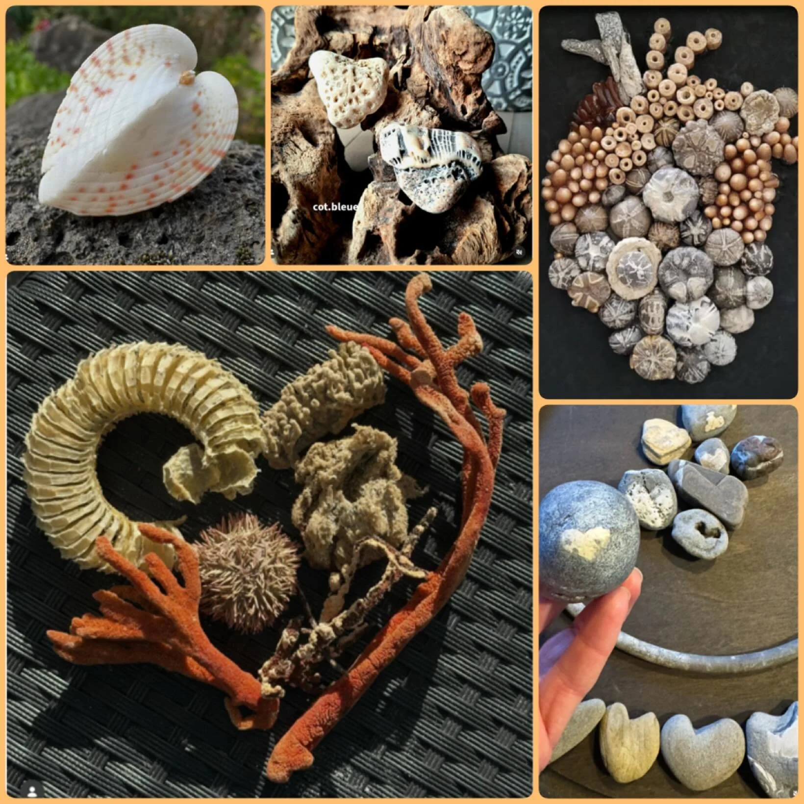 Check out these unique beachy hearts! Love has no limits!

Please join us with your beachy heart posted on your page and please tag us @santabarbaraseaglassfestival and use #sbsgoafmonthofhearts2026 

We can&rsquo;t wait to see your beachy heart as w