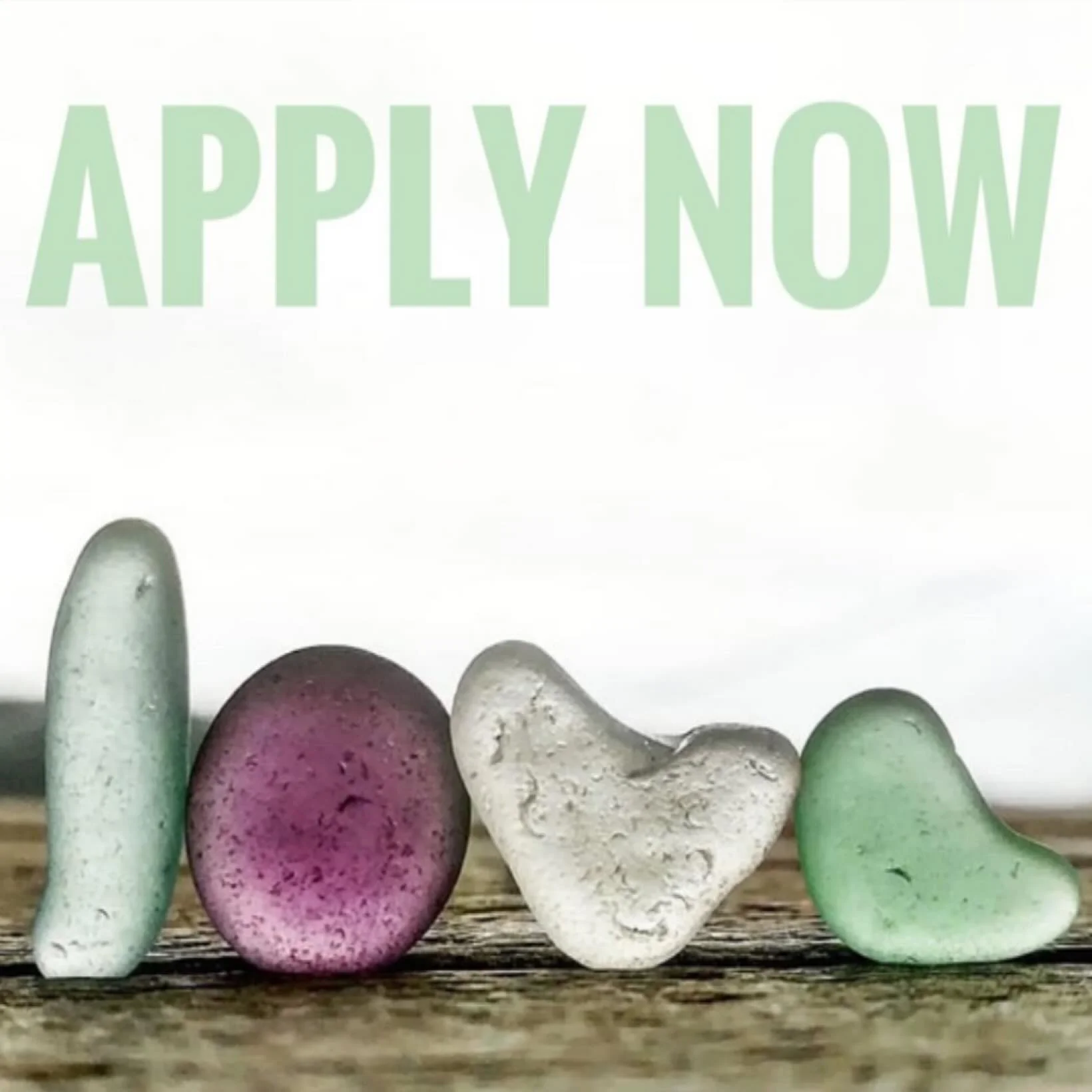 We interrupt the Month of Hearts for a quick announcement: applications are NOW OPEN for our 2 day event September 12 &amp; 13! And we have some exciting news&mdash; we will return to our bigger venue at Earl Warren Showgrounds! @earlwarrenshowground