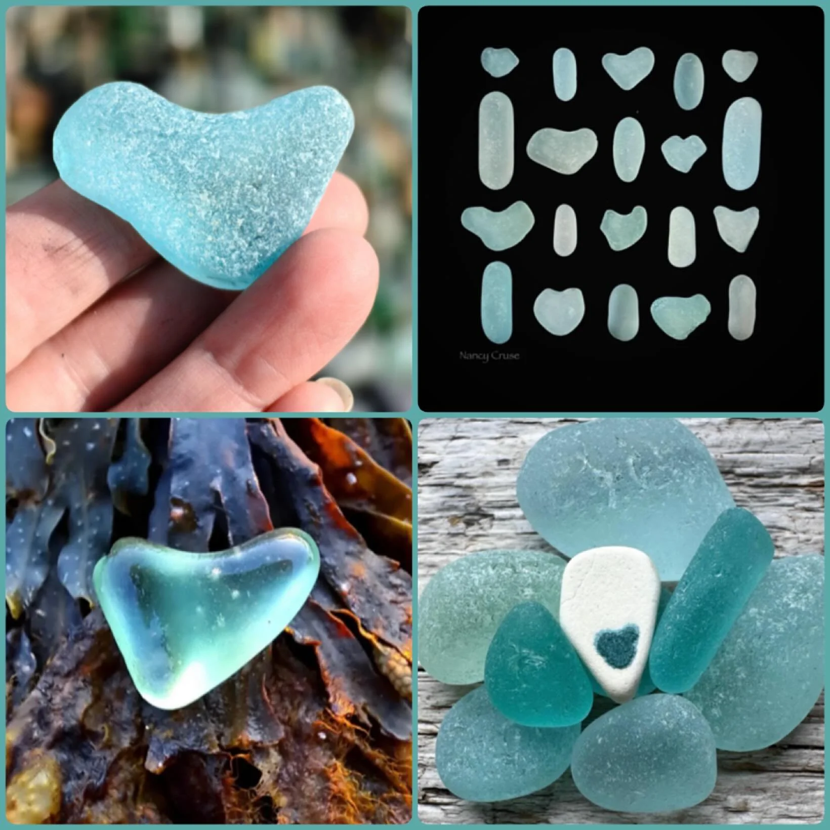 With only 4 days left to our Month of Hearts, here is a quartet of lovely beach hearts for you!

Please feel free to share your beachy hearts on your page and be sure to tag is @santabarbaraseaglassfestival and use #sbsgoafmonthofhearts2026 

🩵🌊🩵?
