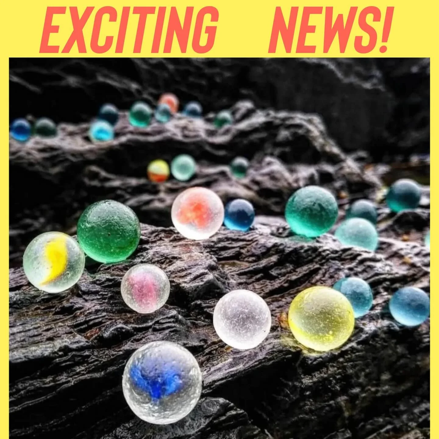 We are excited to share some great news with you!

💛Our 2 day Festival which is September 12 &amp; 13 is going to be held at the Earl Warren Showgrounds! This space was our former home and is much larger! Lots of easy parking, too!

💛Applications a