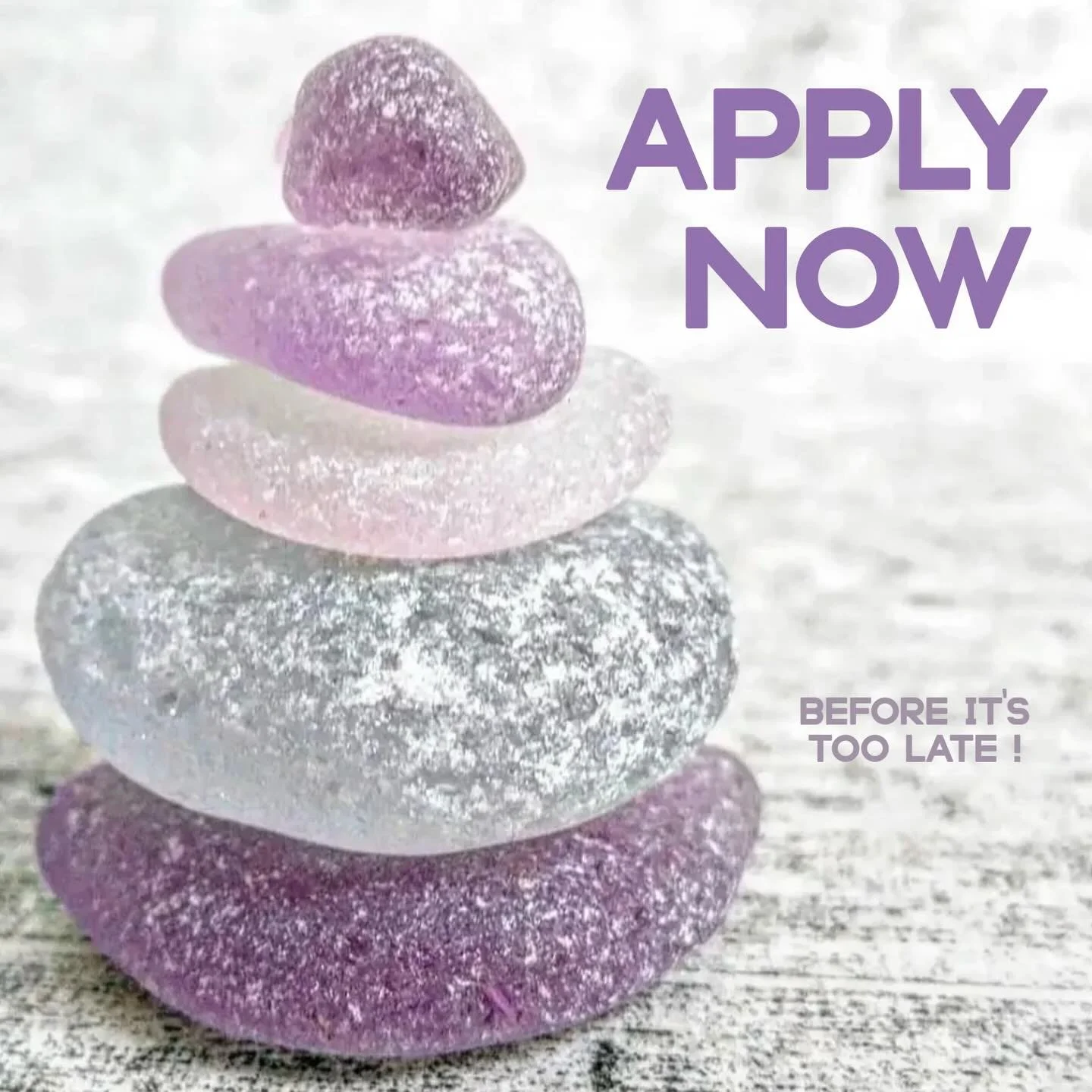 The time is running out to apply as a vendor for our 2 day Festival coming up (May 15), we encourage you to use the link in our bio and head over to our website to fill out your application! 💜

Thanks to all who have applied. We are looking for more