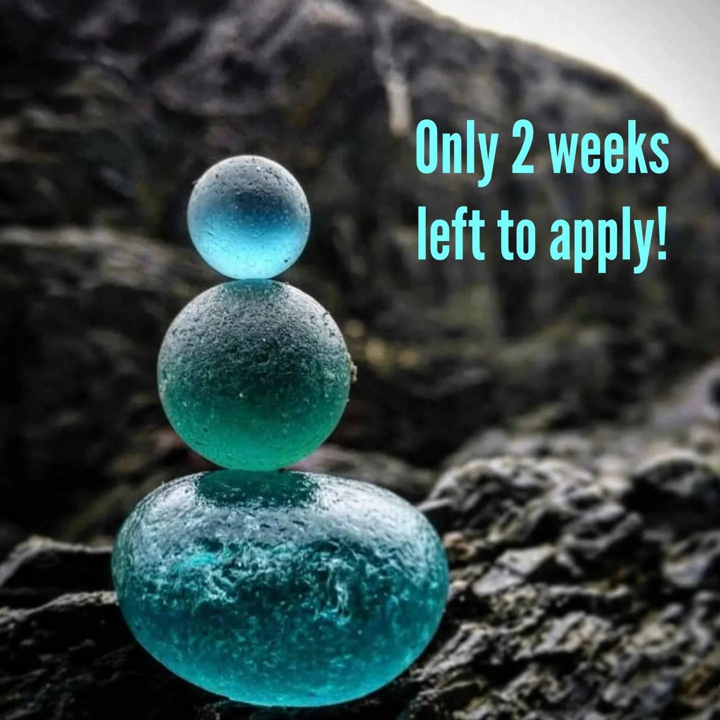 Just a friendly reminder that our deadline for applying to be an artist in our two day event is May 15!

So, sea glass and ocean artists, please use the link in bio and apply today!

We are thrilled to be back at Earl Warren Showgrounds this year and