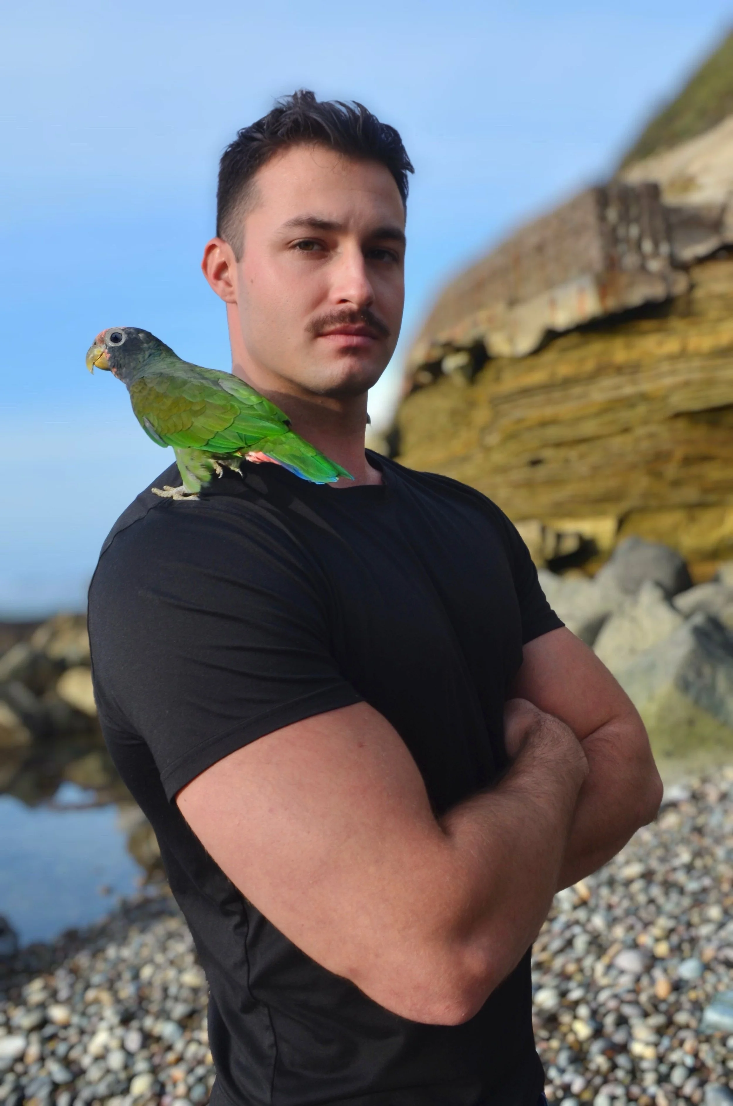 Sage Harmon Returning to SBSGOAF 