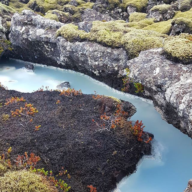 #iceland, #coldasice #suyaphotogram #travelphotography