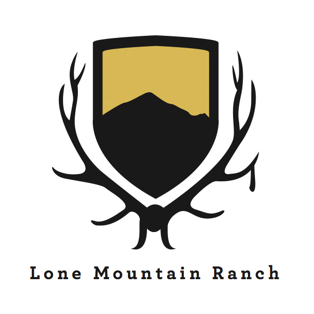 LMR_logo.png