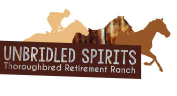 UnbridledSpirits_BC-1.png