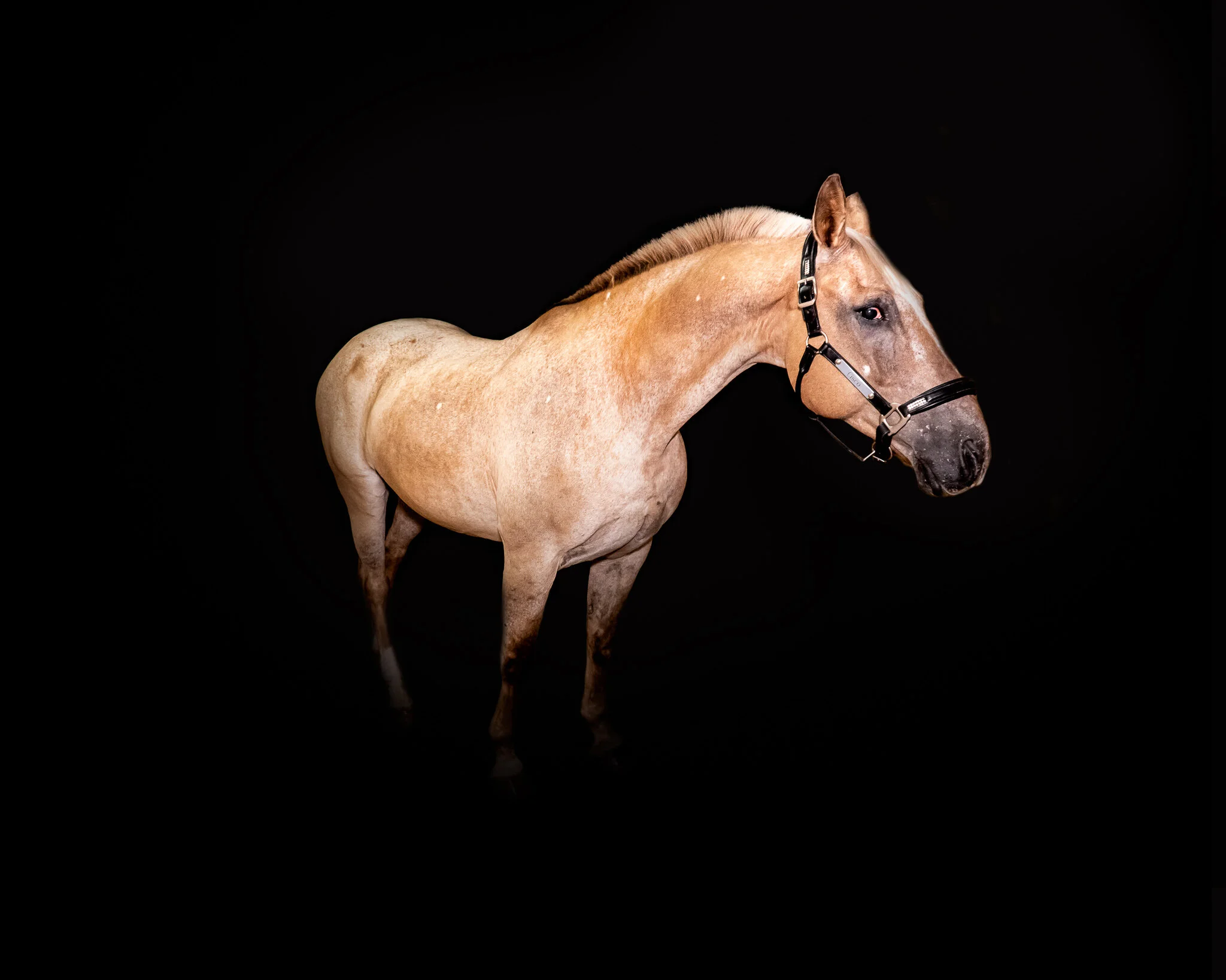 _DSC2106-Edit.jpg