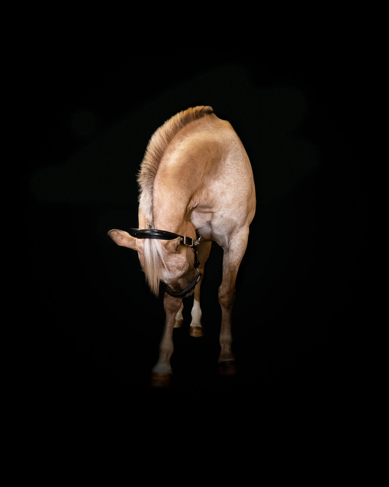Cisco.jpg