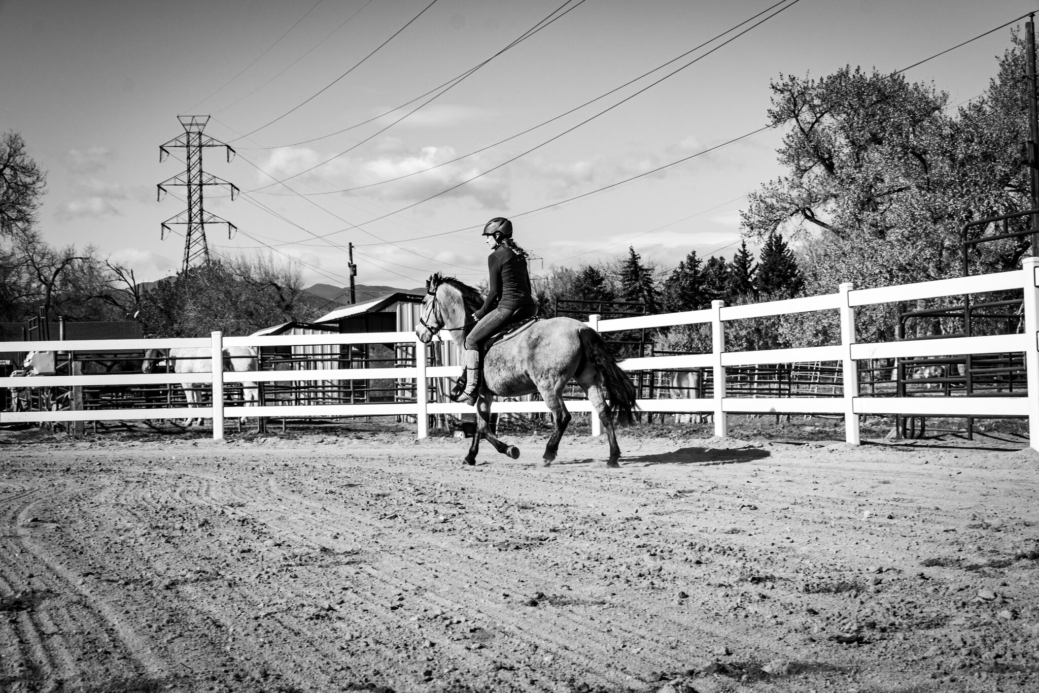 LADYBUG_UnderSaddle-04.jpg