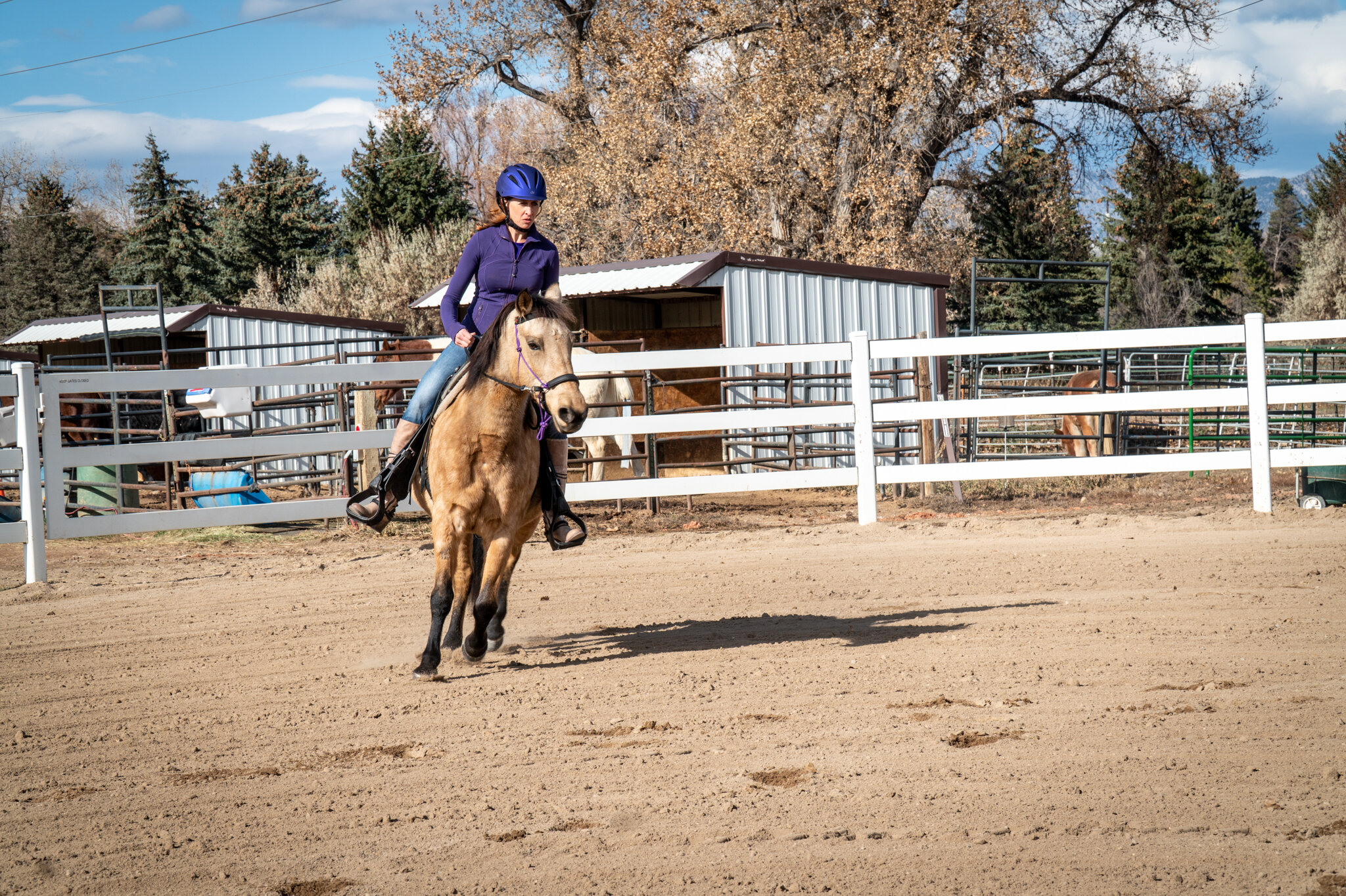 LADYBUG_UnderSaddle-10.jpg